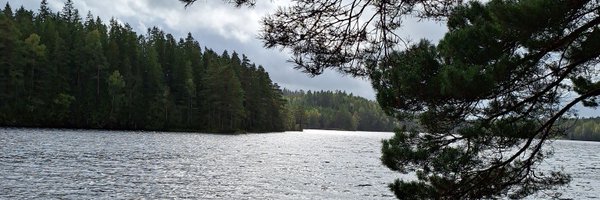 nilsfar Profile Banner