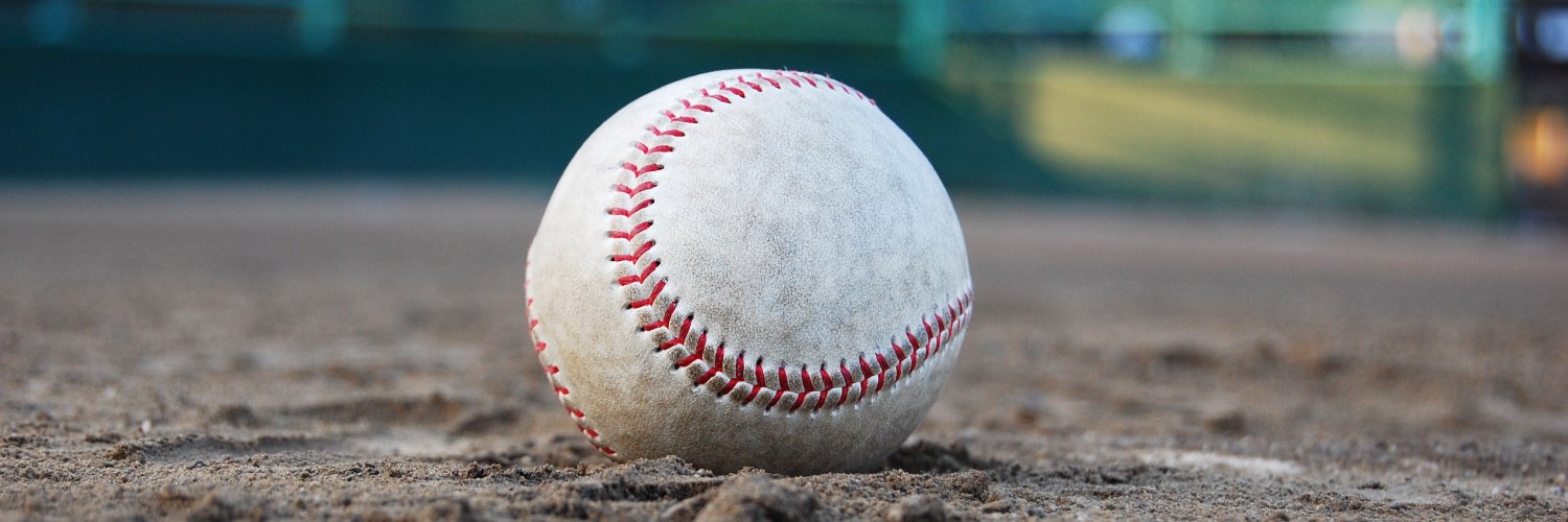 shinkinbaseball's profile banner image