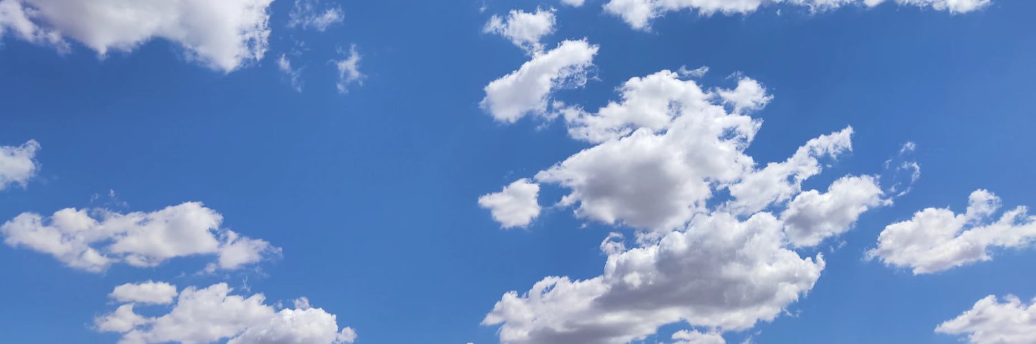 Negative Nelly banner