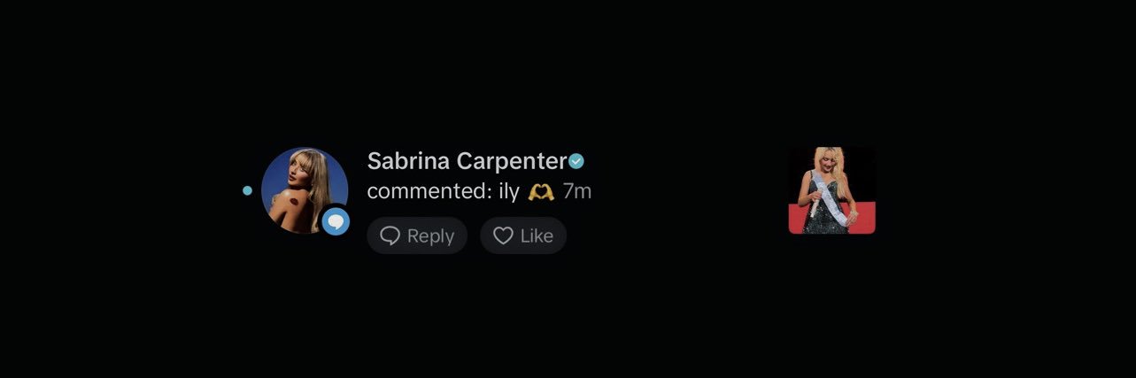 𝘫𝘢𝘯𝘪𝘤𝘦 banner