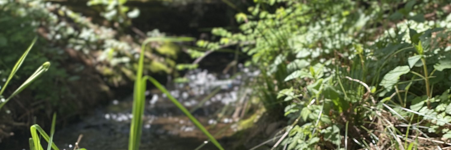 wbenson64's profile banner image
