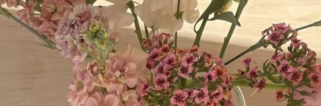 hilmaaelmi's profile banner image