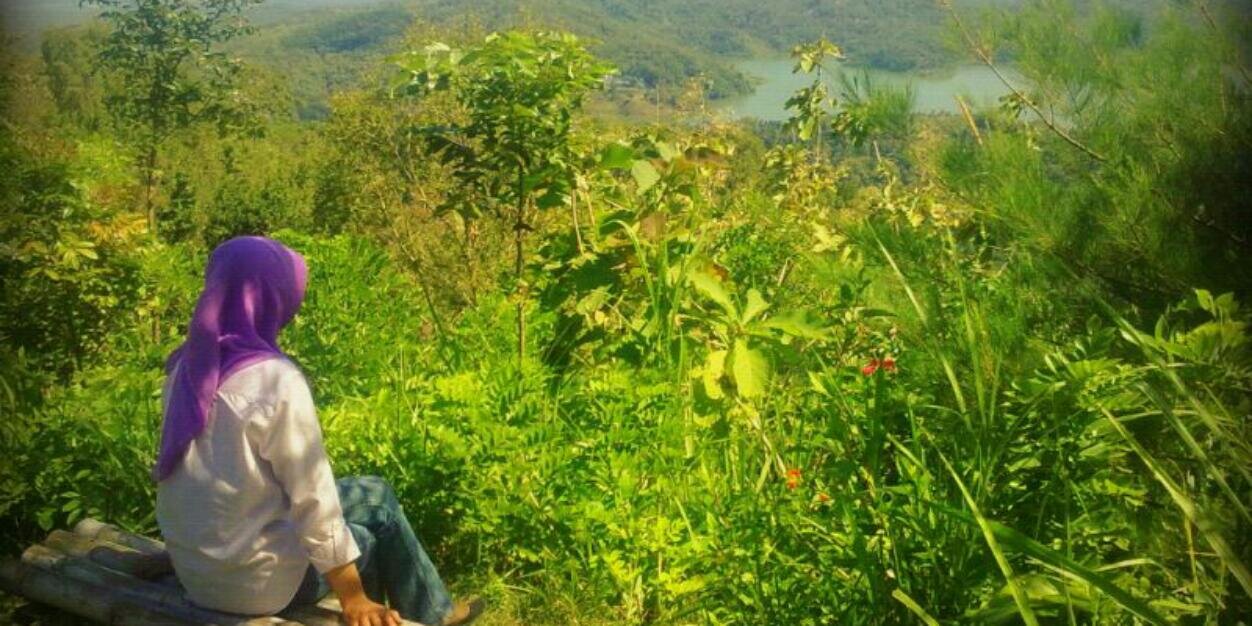 febria_riefa's profile banner image