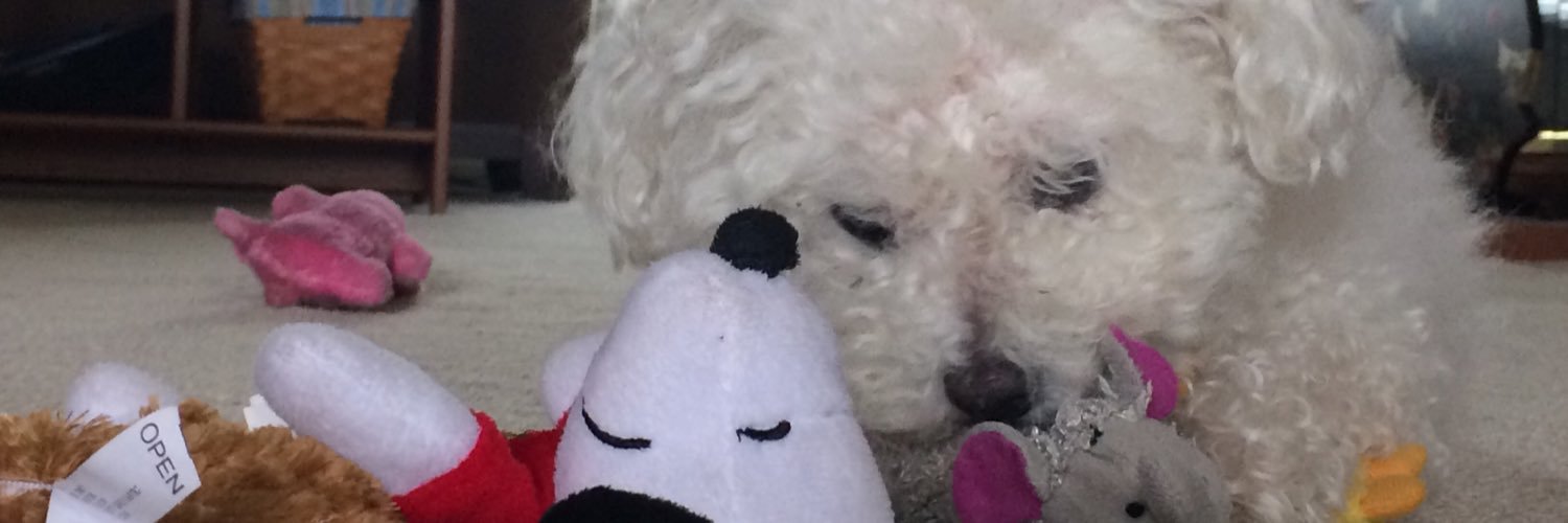 merppenguin's profile banner image
