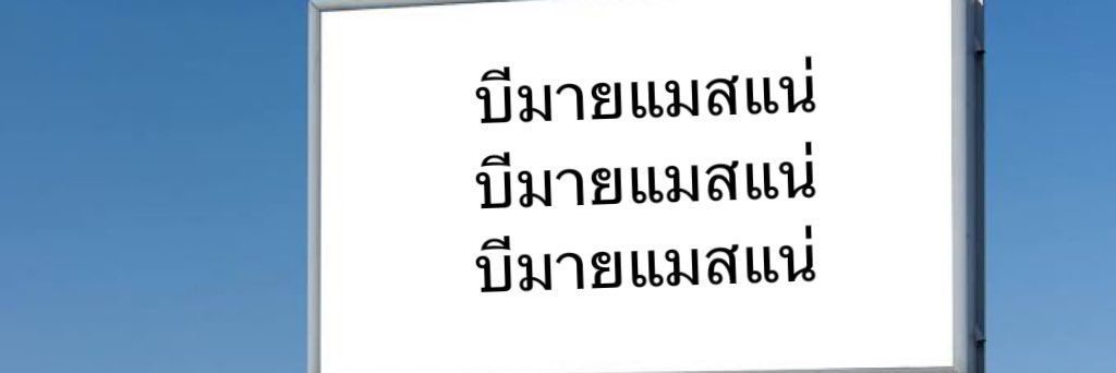 นบ.ไม่ว่างแมวพาไปเดินเล่น banner