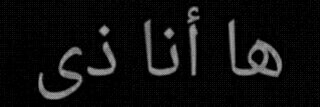 ilma_zha's profile banner image