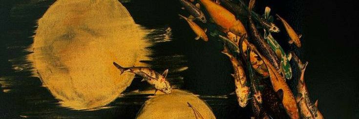 dinosrhz's profile banner image