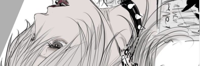 popochamS2's profile banner image