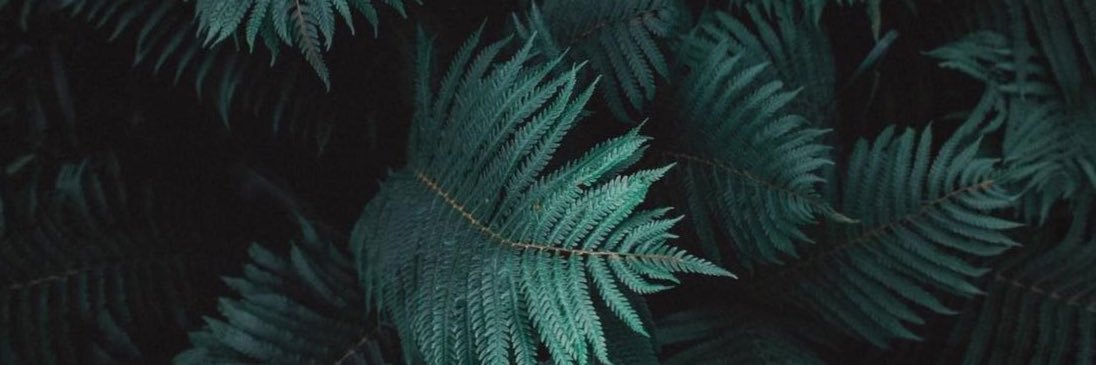 LightDeemz's profile banner image