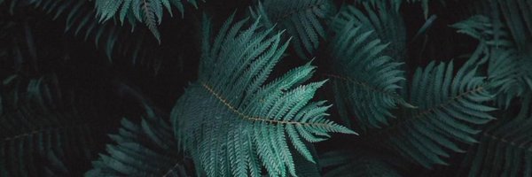 LightDeemz Profile Banner