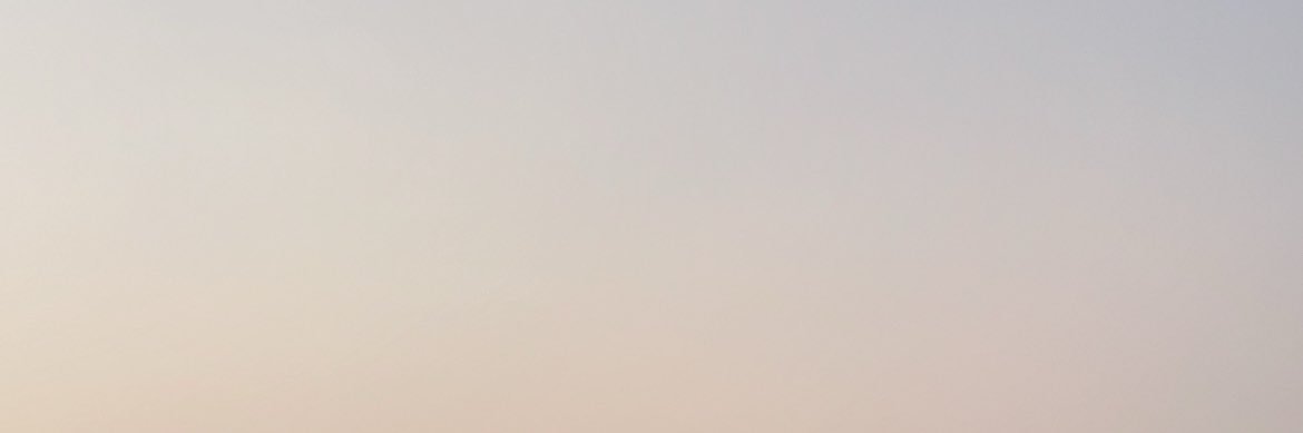 apdiela's profile banner image