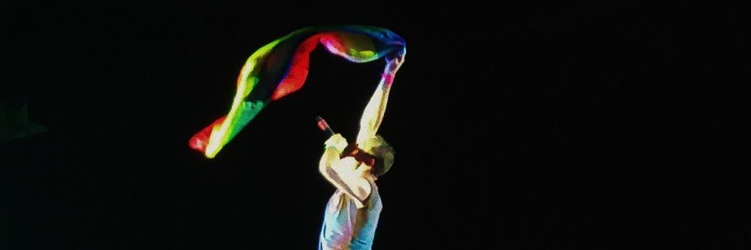 boschinije's profile banner image