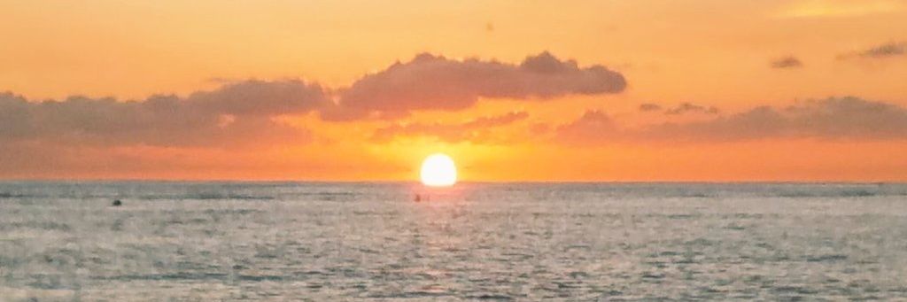 BuleBule_bird's profile banner image