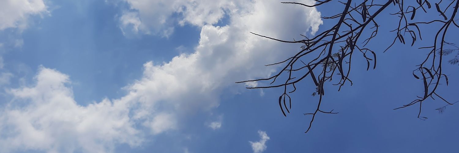 viranrla's profile banner image
