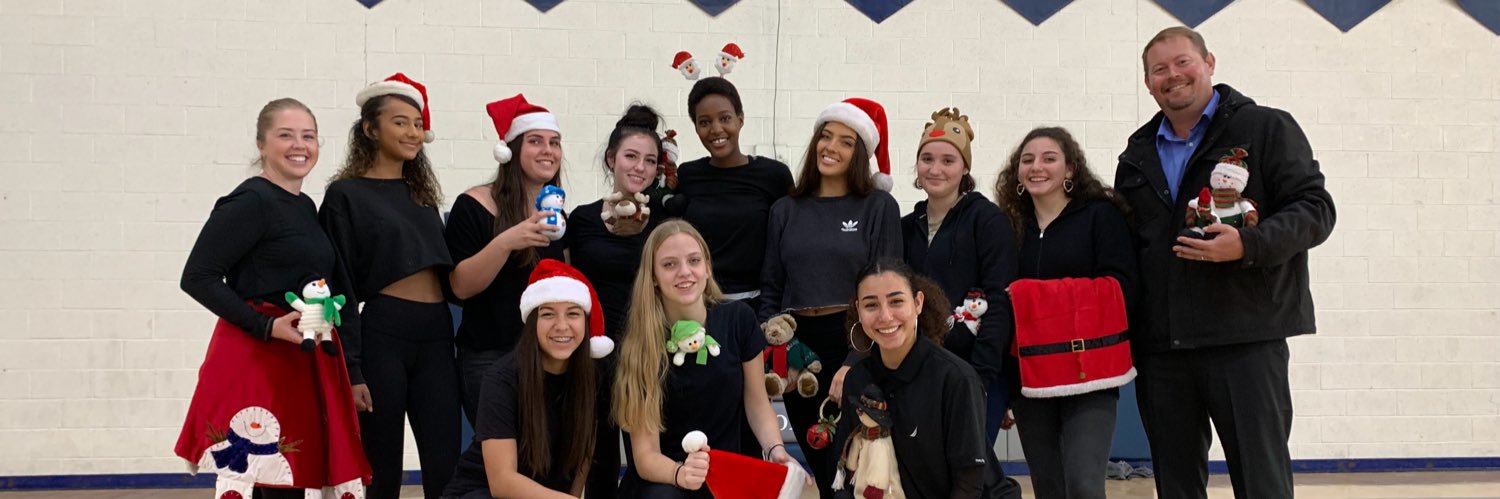 TGS Lady Hawks banner