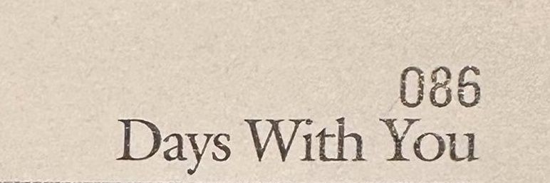 벌| 𝐵𝑒𝑒 banner