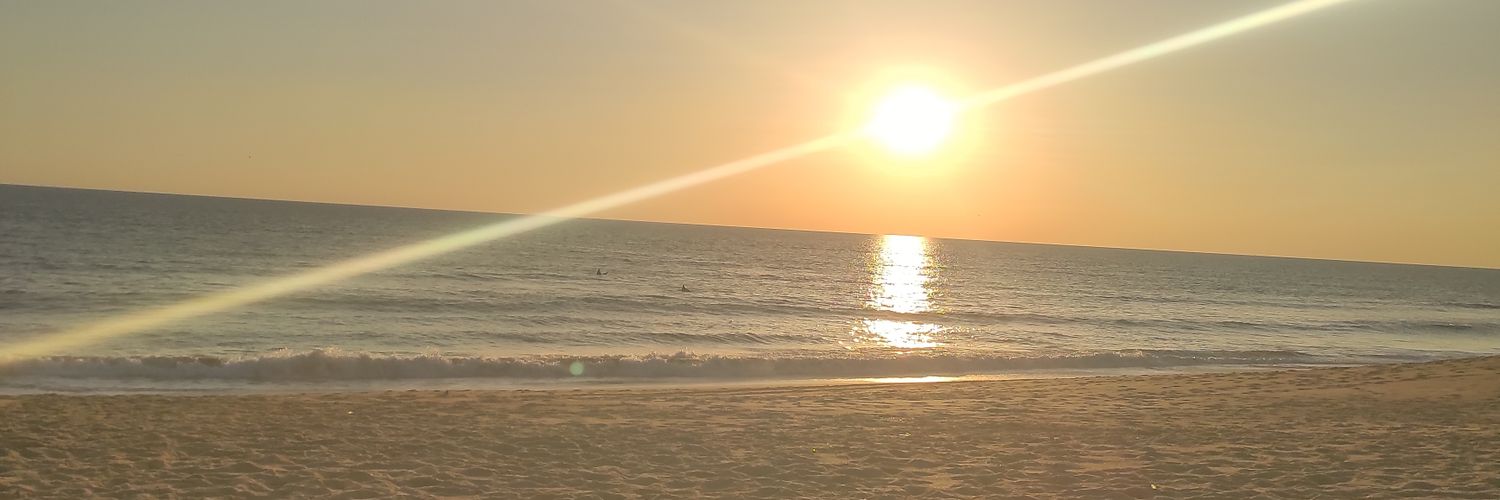 vascomartins971's profile banner image