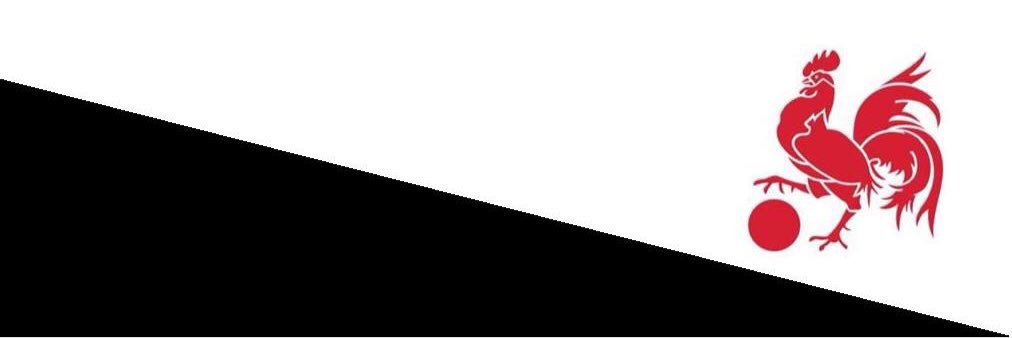 TraralgonCitySC's profile banner image