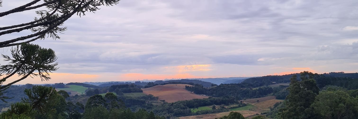 MarianeSchaffer's profile banner image