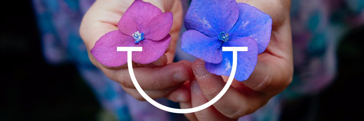 luizavoll's profile banner image