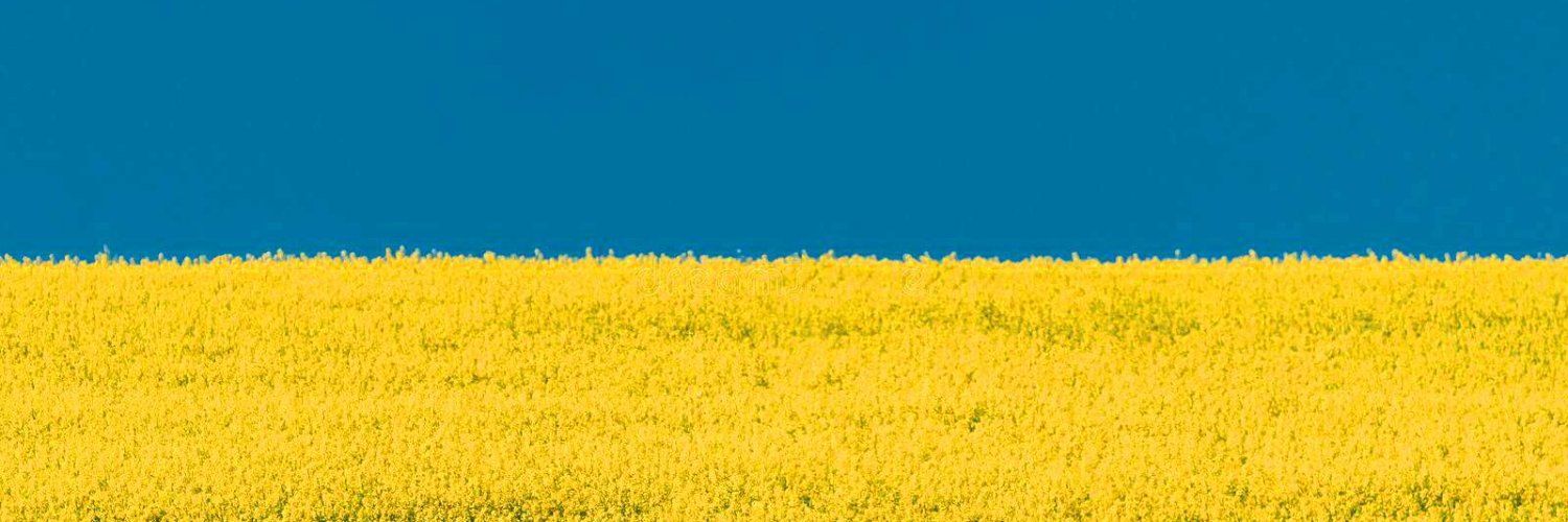 Roberto Ortiz de Zárate Arce banner