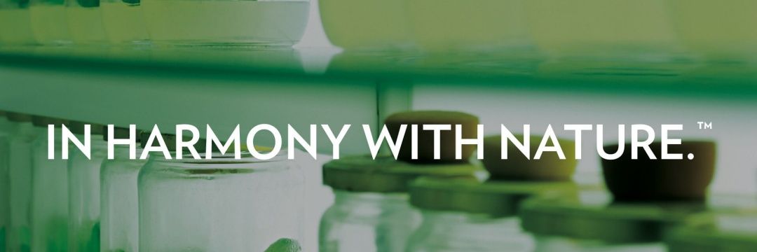gwellness's profile banner image