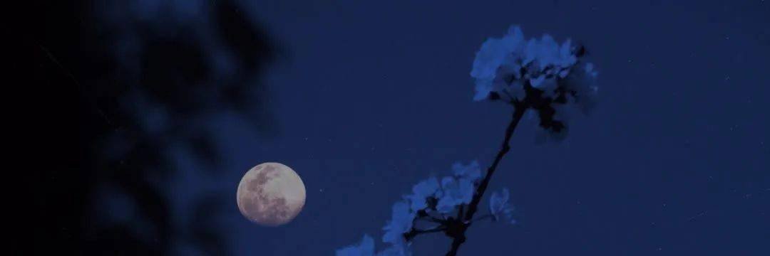 asaqi175's profile banner image