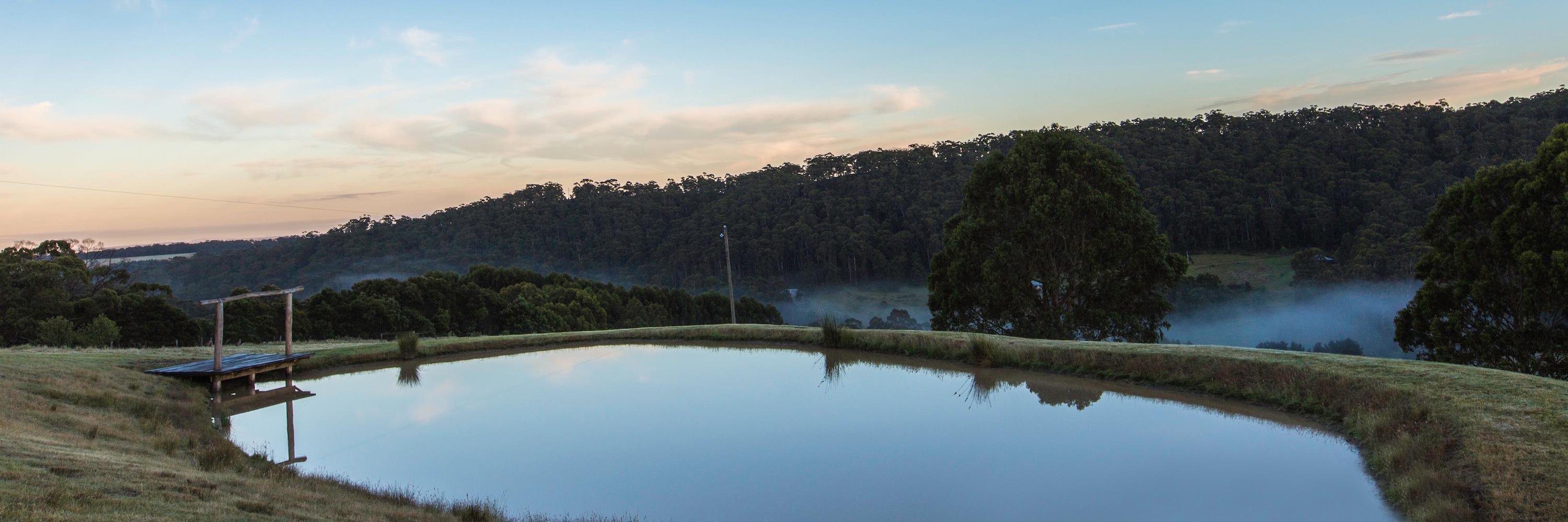 kingparrotcomau's profile banner image