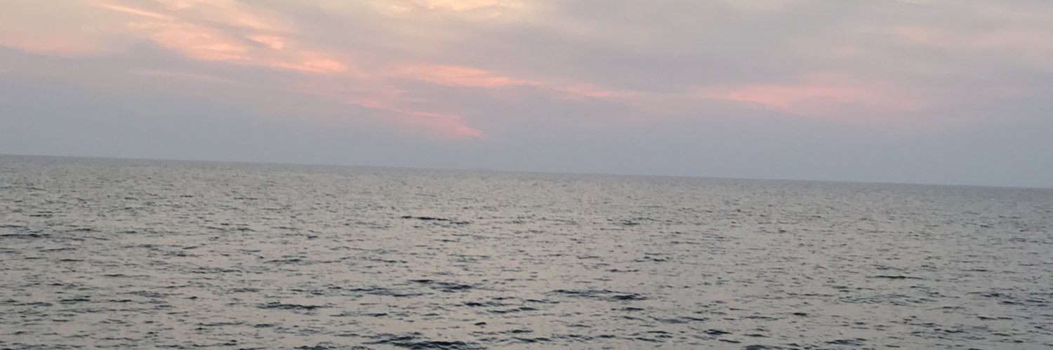 AlQeht's profile banner image