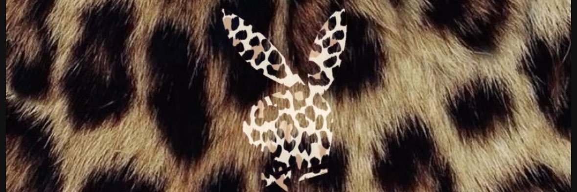 lysgotti's profile banner image