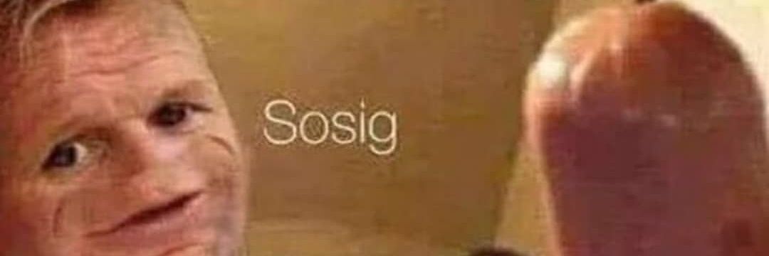 Sesal banner