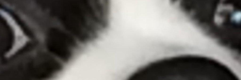 joolz__c's profile banner image