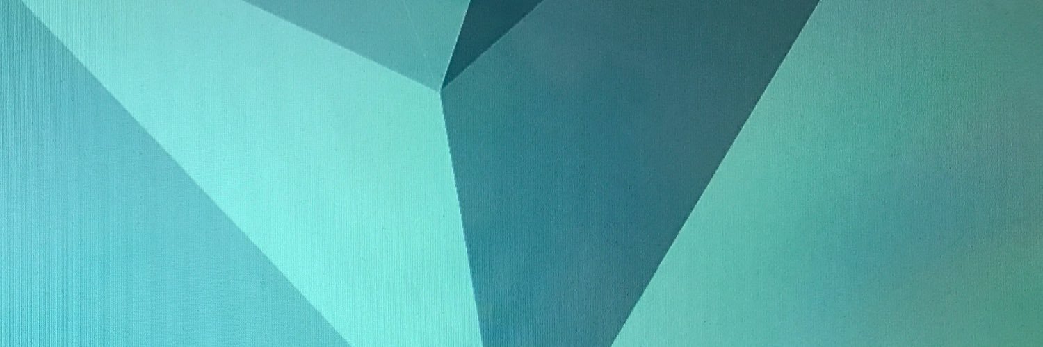 larissamaraga's profile banner image