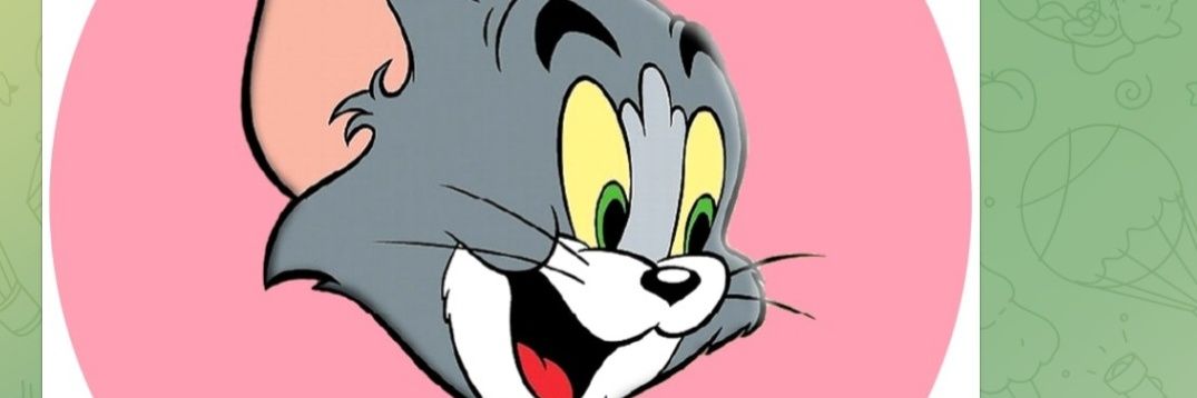 catiilshelvy5's profile banner image