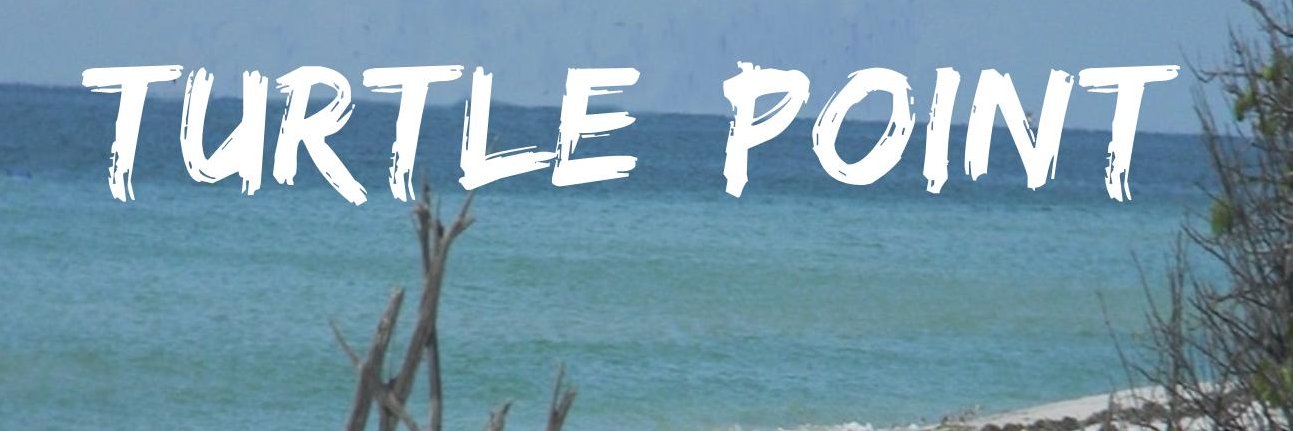 PrLady2016's profile banner image