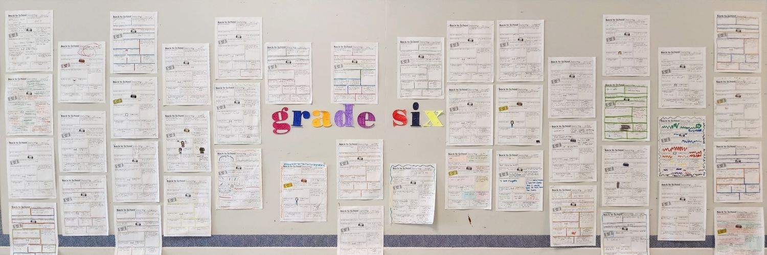 Ms. Salinas (Grade 6 ~Elmdale PS) (@Salinas_305) / Posts / X