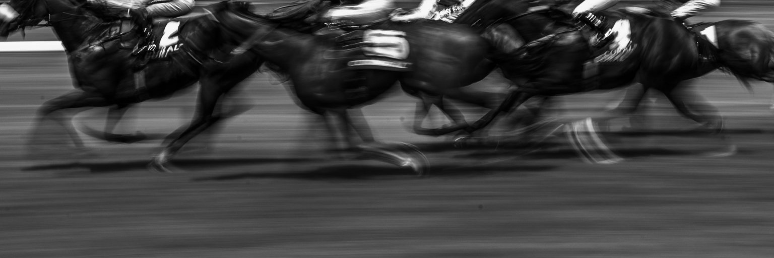 Racing Post TV banner