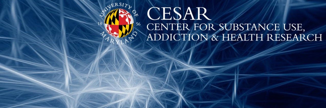 CESAR Research banner