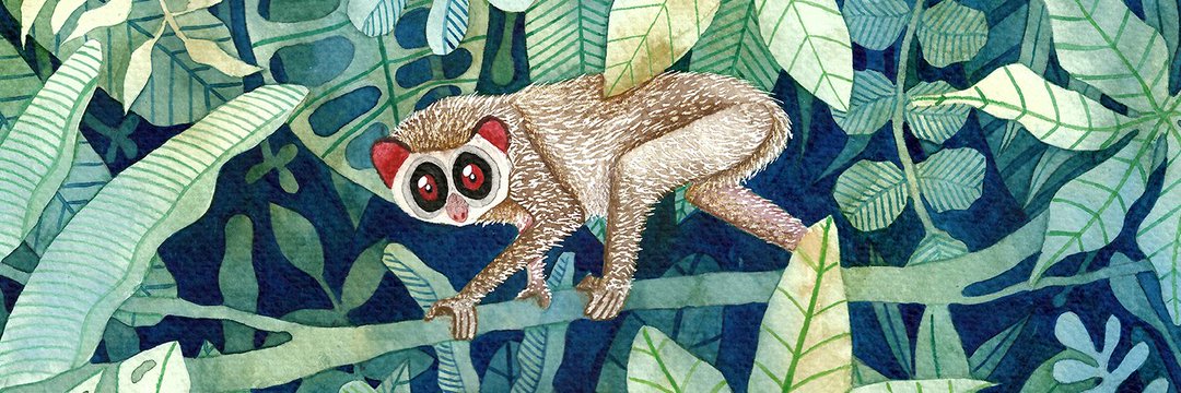 Sherry Fernandes banner