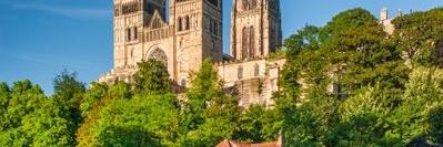 Dr Marie Gressmann banner