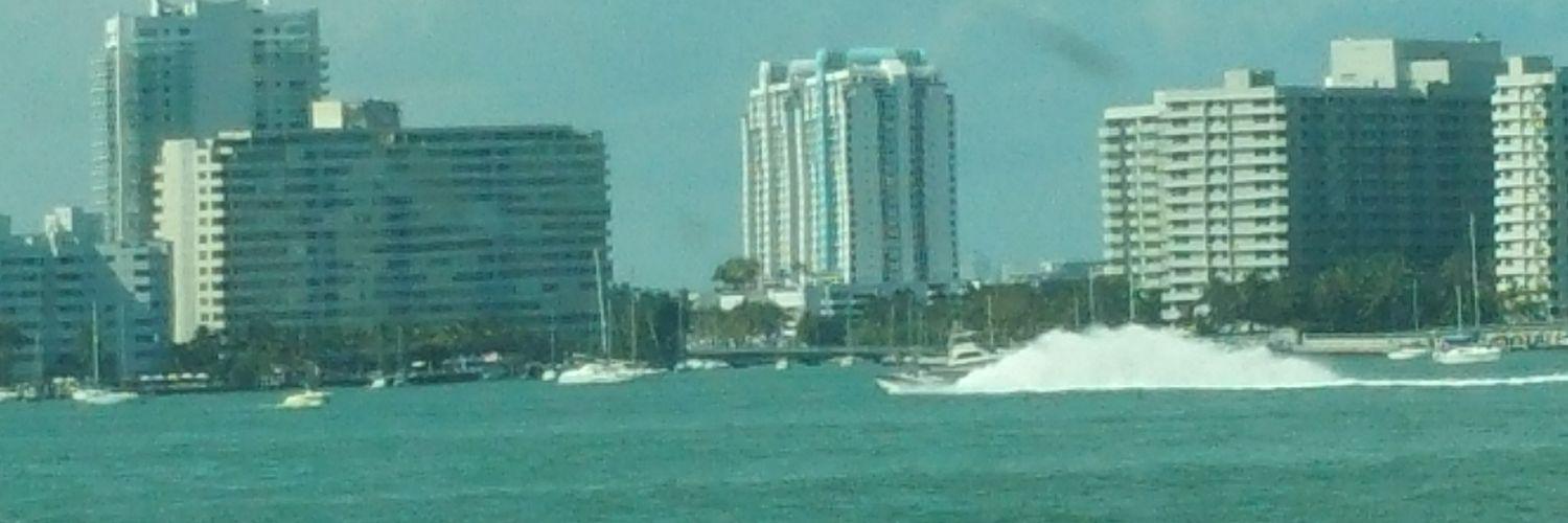 PRO DESIGNS WORLD banner