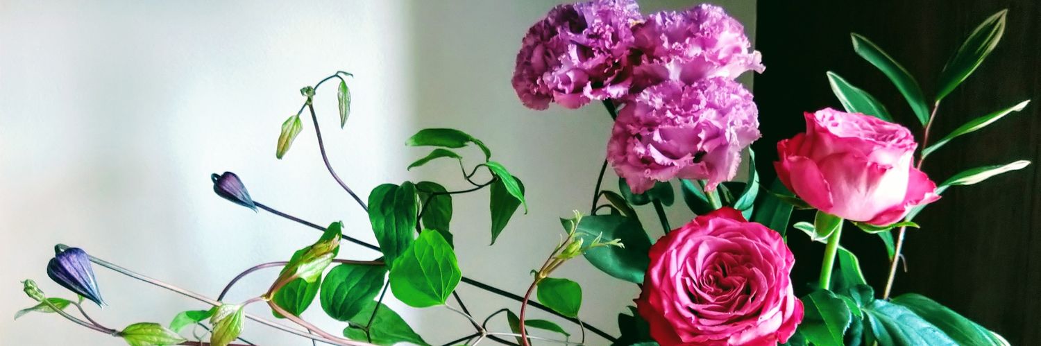 chiume26's profile banner image