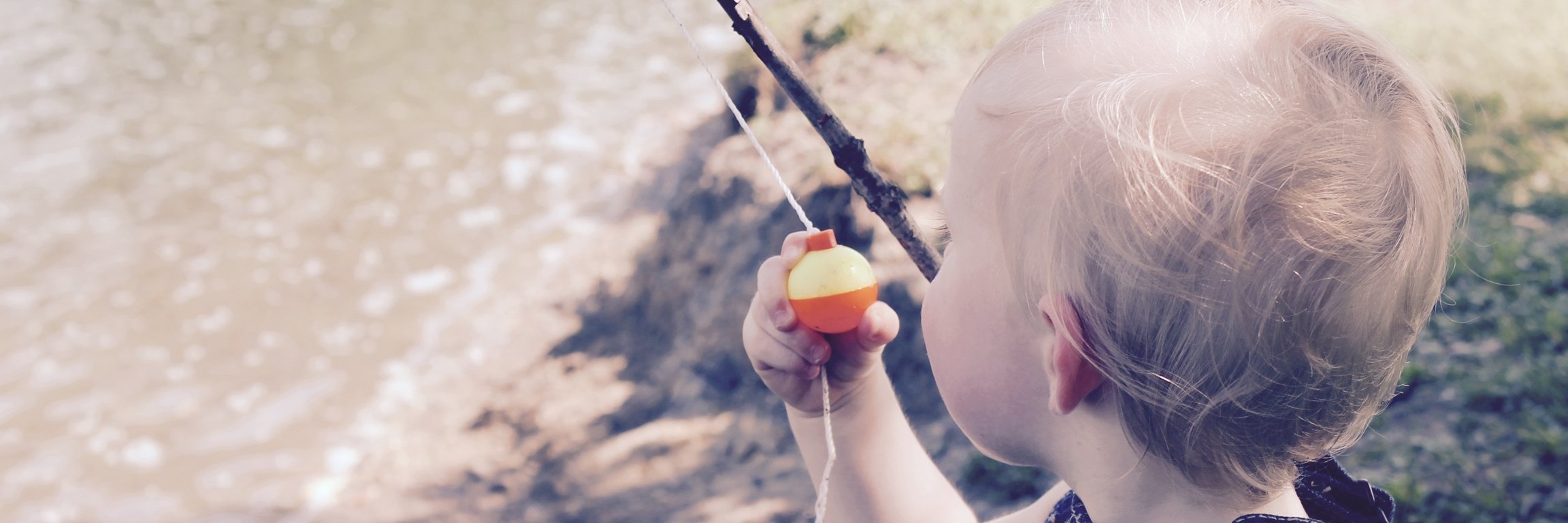 Nicole Mccormick banner