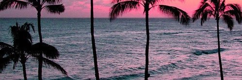 lizzyyraee's profile banner image