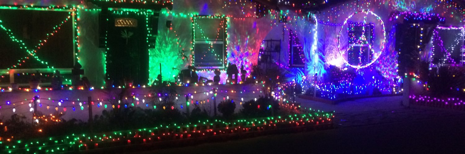 #GreenNewDealAlwaysBernie🌹🏴󠁧󠁢󠁷󠁬󠁳󠁿 banner