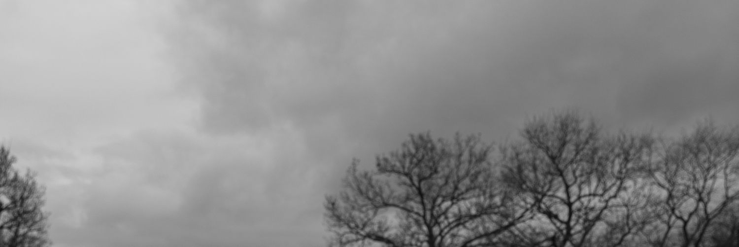 sarbuonasph's profile banner image