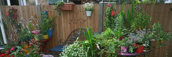 Weatherwax3355 Profile Banner