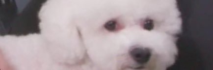 imim4141's profile banner image