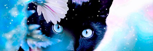 CarlesCruces's profile banner image