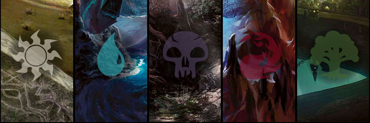 wizards_mtgCAT's profile banner image